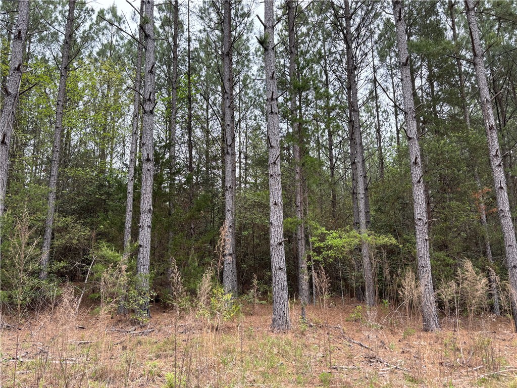 Lot 1 Oconee Creek Road Walhalla, SC 29691 - Photo 8 of 13 Gallery Image 8