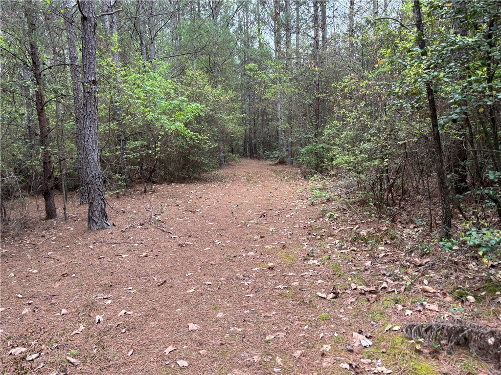 Lot 1 Oconee Creek Road Walhalla, SC 29691 - Photo 9 of 13 Gallery Image 9