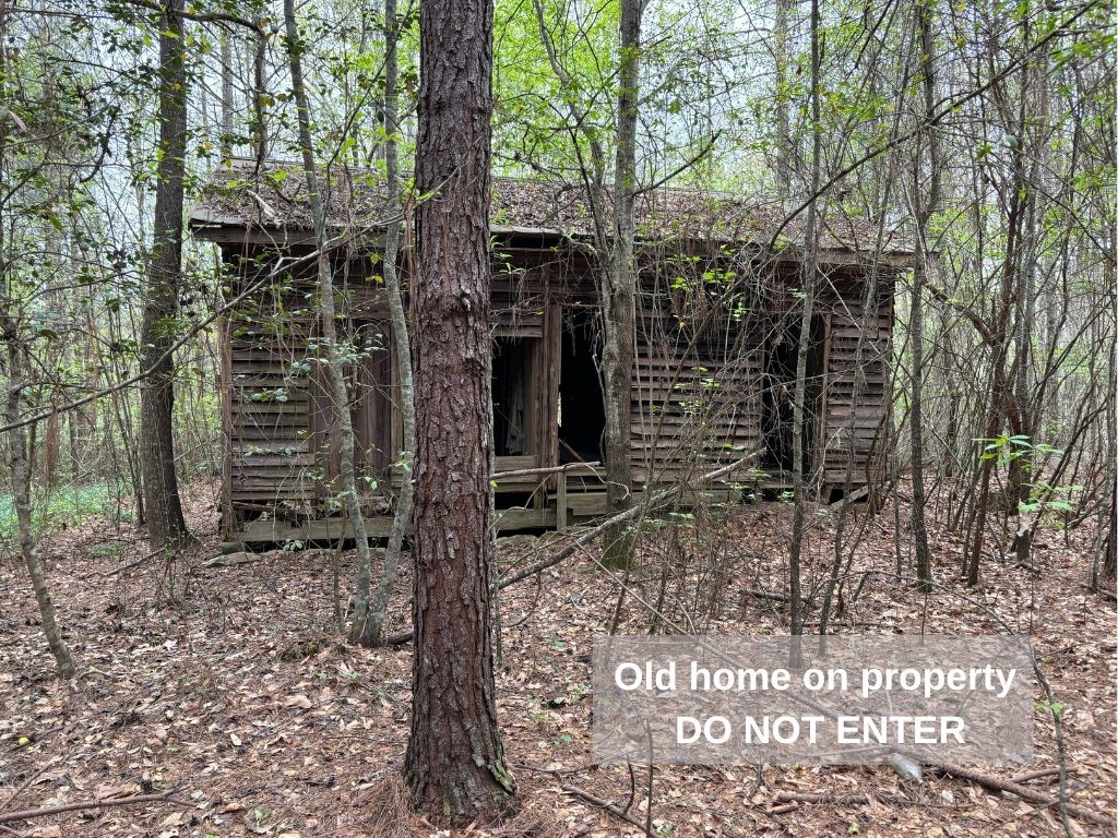 Lot 1 Oconee Creek Road Walhalla, SC 29691 - Photo 10 of 13 Gallery Image 10