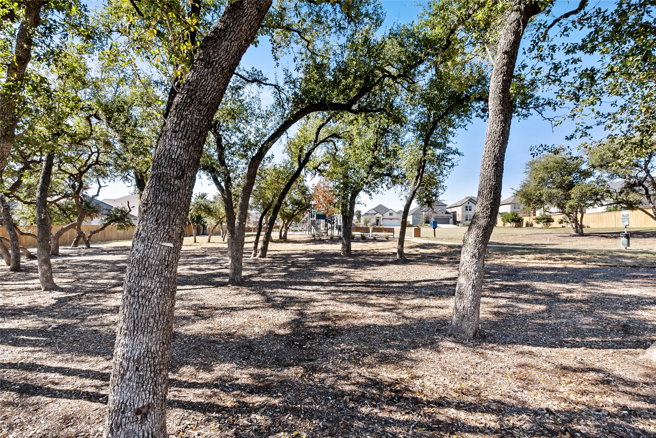 163 Cotton Tree Terrace Dripping Springs, TX 78620 - Photo 29 of 30 a view of a yard with trees