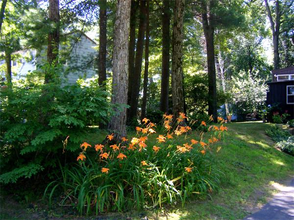 21 Rice Road Maynard, MA 01754 - Photo 16 of 19 Gallery Image 16