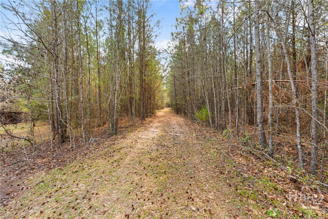 3127 Buttermilk Road Sylvania, GA 30467 - Photo 11 of 27