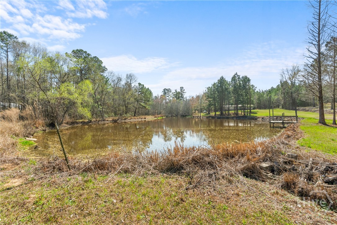 3127 Buttermilk Road Sylvania, GA 30467 - Photo 13 of 27