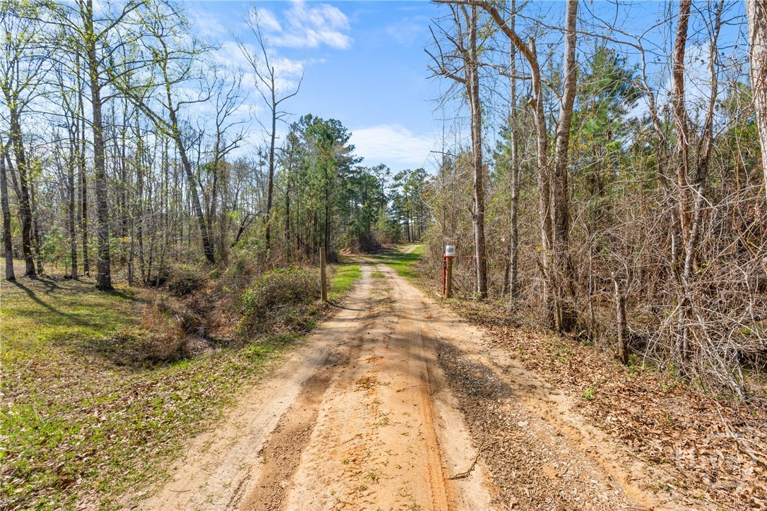 3127 Buttermilk Road Sylvania, GA 30467 - Photo 14 of 27