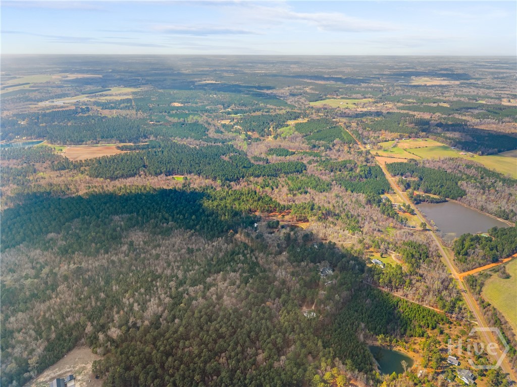 3127 Buttermilk Road Sylvania, GA 30467 - Photo 17 of 27