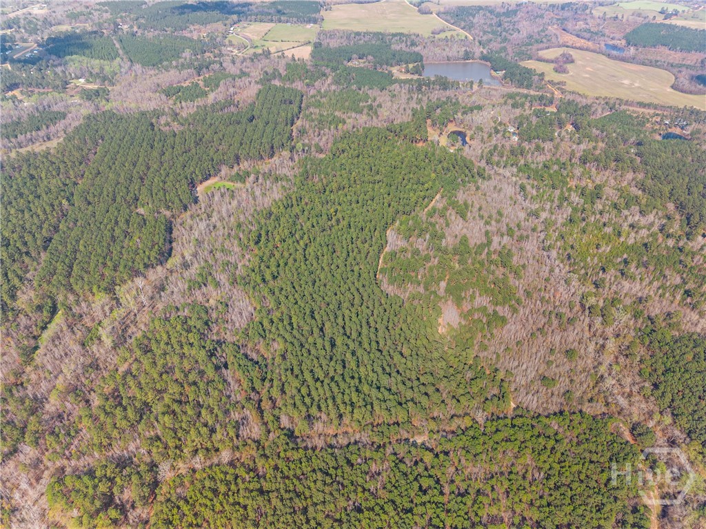 3127 Buttermilk Road Sylvania, GA 30467 - Photo 18 of 27