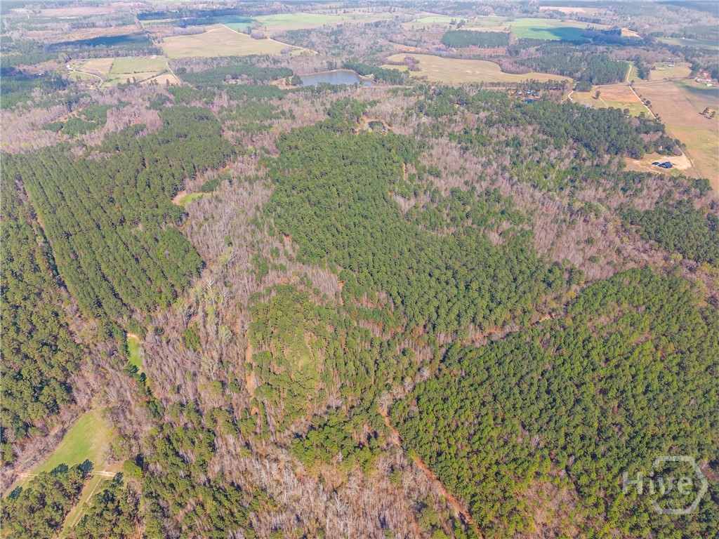 3127 Buttermilk Road Sylvania, GA 30467 - Photo 19 of 27