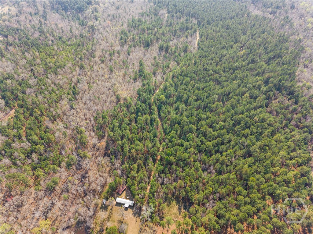 3127 Buttermilk Road Sylvania, GA 30467 - Photo 20 of 27