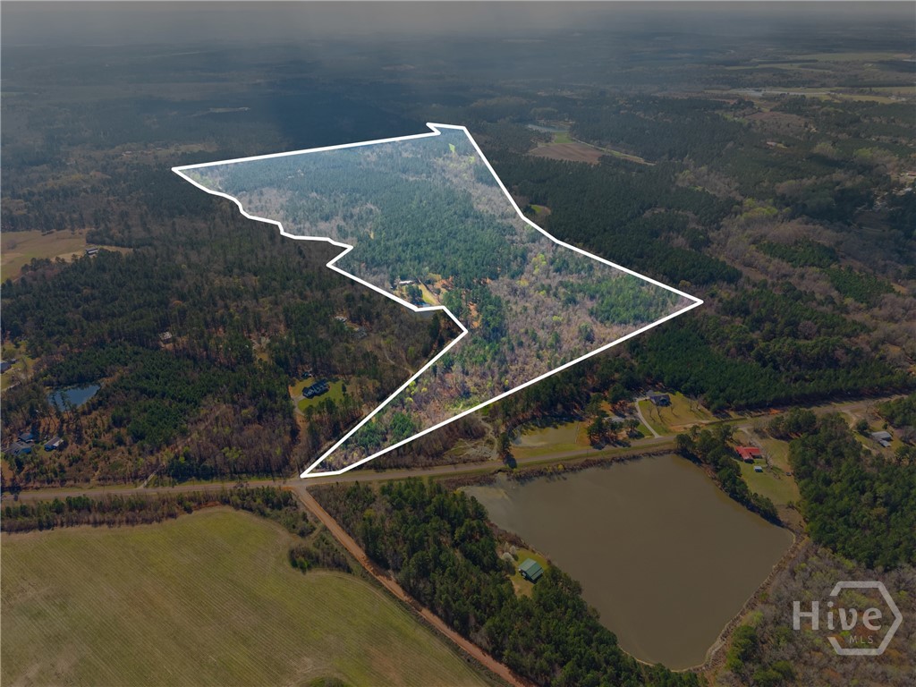 3127 Buttermilk Road Sylvania, GA 30467 - Photo 2 of 27