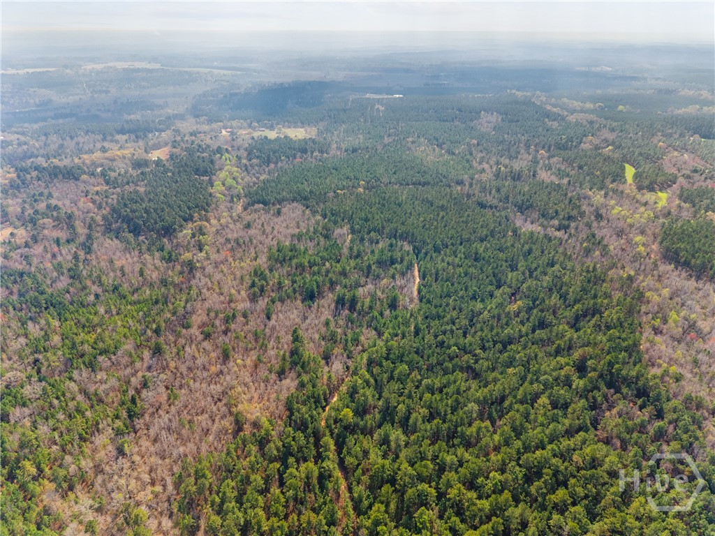 3127 Buttermilk Road Sylvania, GA 30467 - Photo 21 of 27