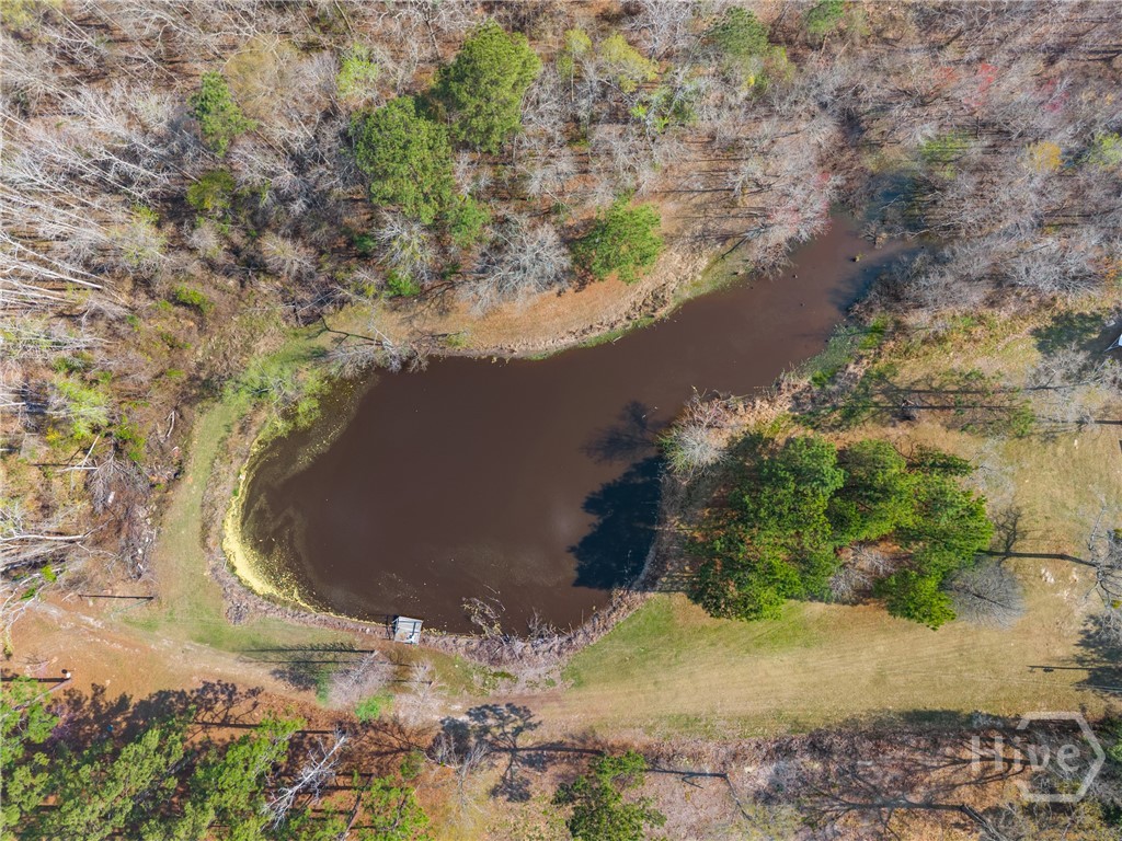 3127 Buttermilk Road Sylvania, GA 30467 - Photo 22 of 27