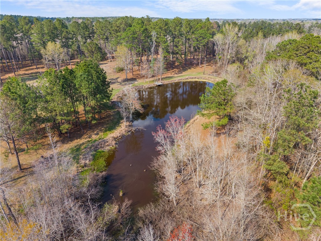 3127 Buttermilk Road Sylvania, GA 30467 - Photo 23 of 27