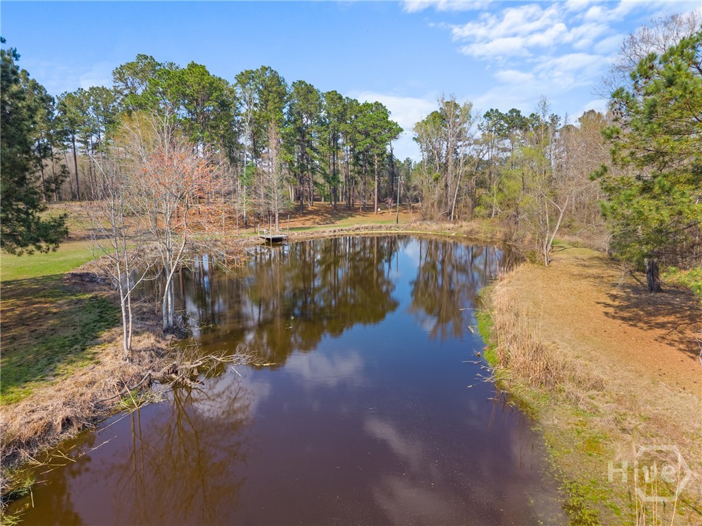 3127 Buttermilk Road Sylvania, GA 30467 - Photo 24 of 27