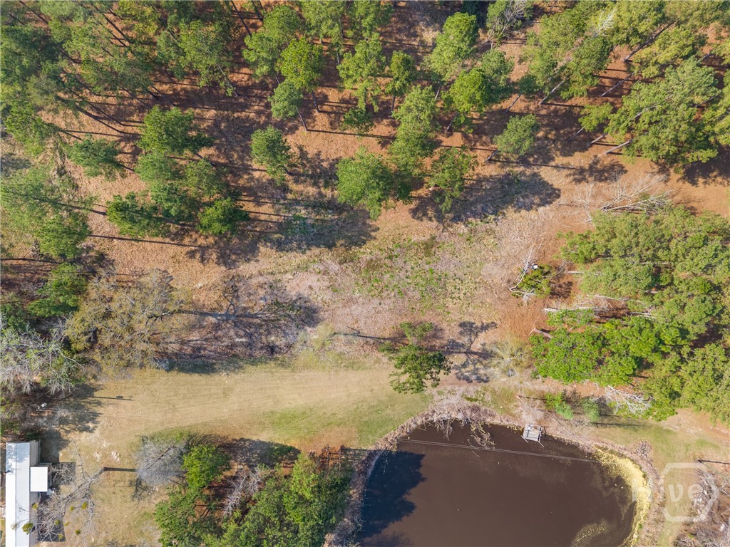 3127 Buttermilk Road Sylvania, GA 30467 - Photo 25 of 27