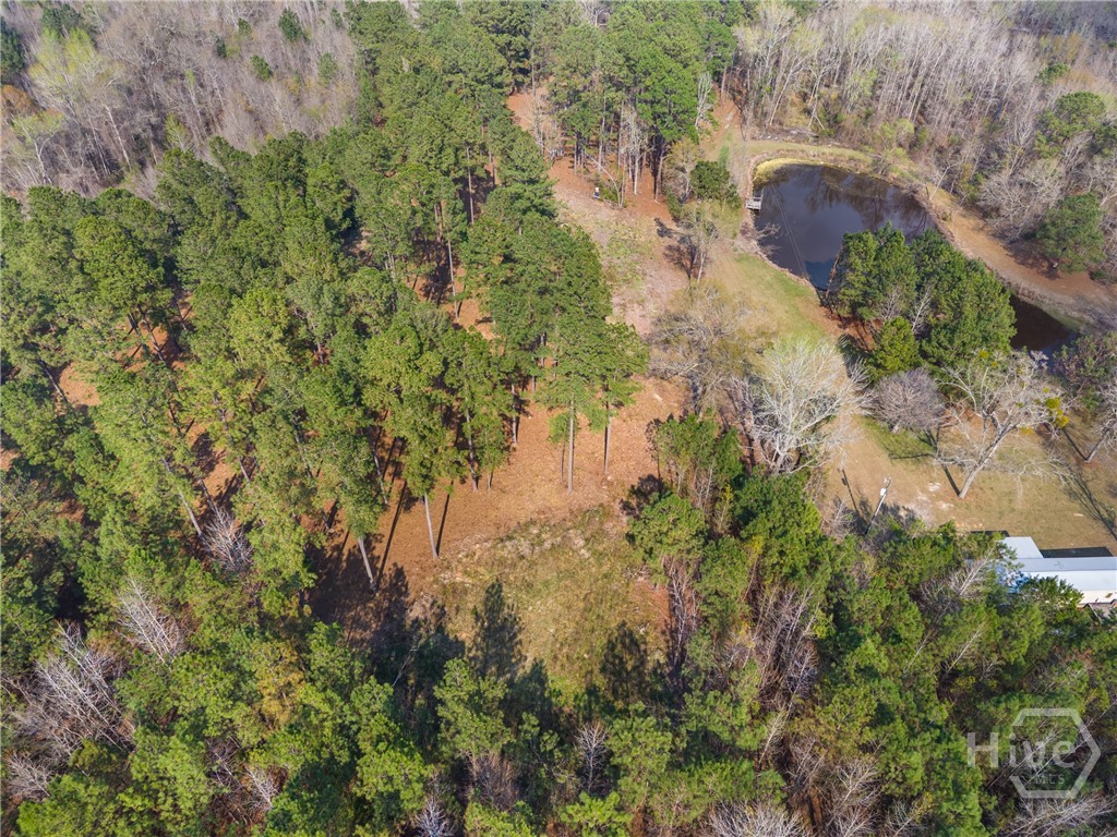 3127 Buttermilk Road Sylvania, GA 30467 - Photo 27 of 27