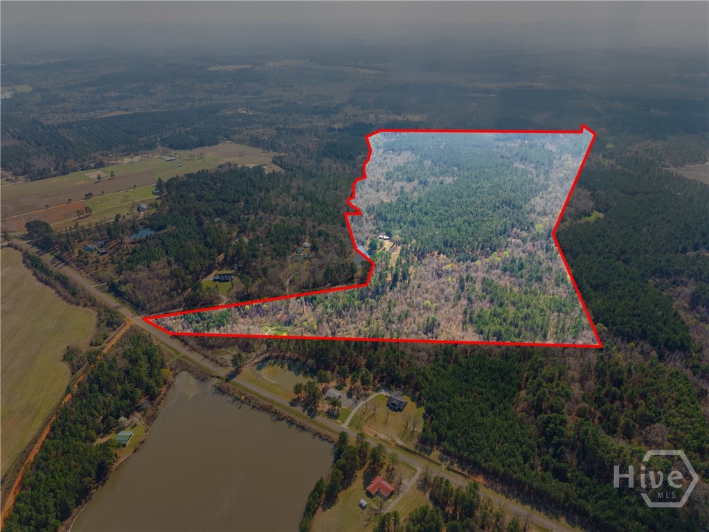 3127 Buttermilk Road Sylvania, GA 30467 - Photo 4 of 27