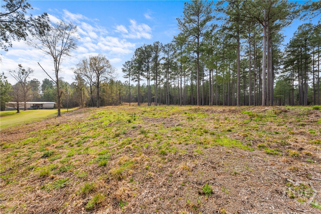 3127 Buttermilk Road Sylvania, GA 30467 - Photo 8 of 27