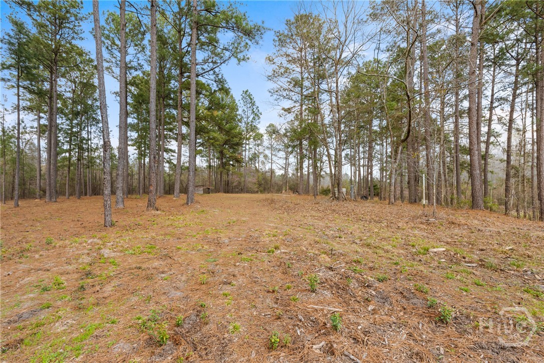 3127 Buttermilk Road Sylvania, GA 30467 - Photo 9 of 27