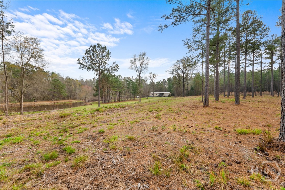 3127 Buttermilk Road Sylvania, GA 30467 - Photo 10 of 27