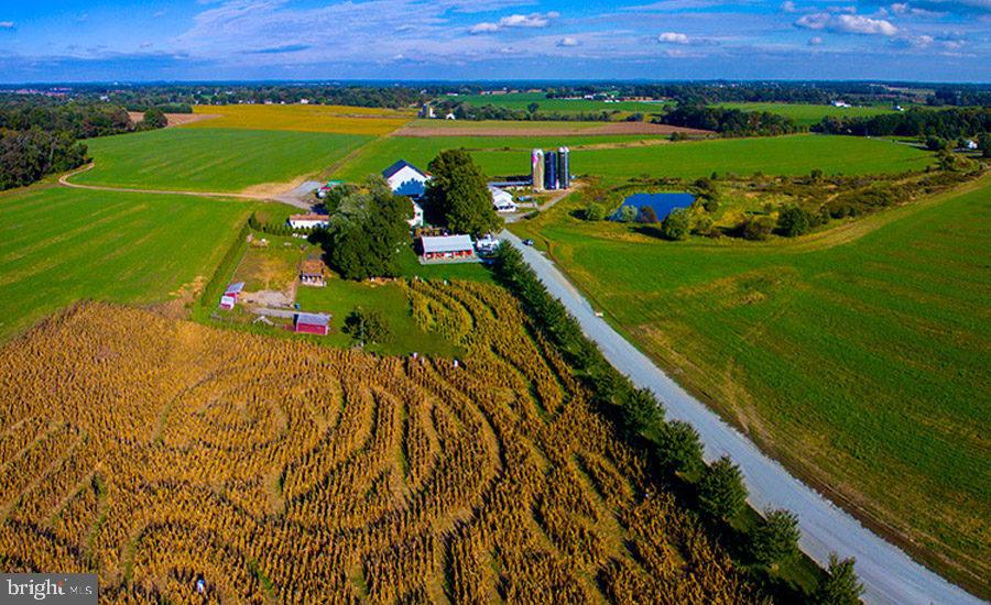 288 Slicers Mill Road Rising Sun, MD 21911 - Photo 22 of 26 Kilby Creamery Farms
