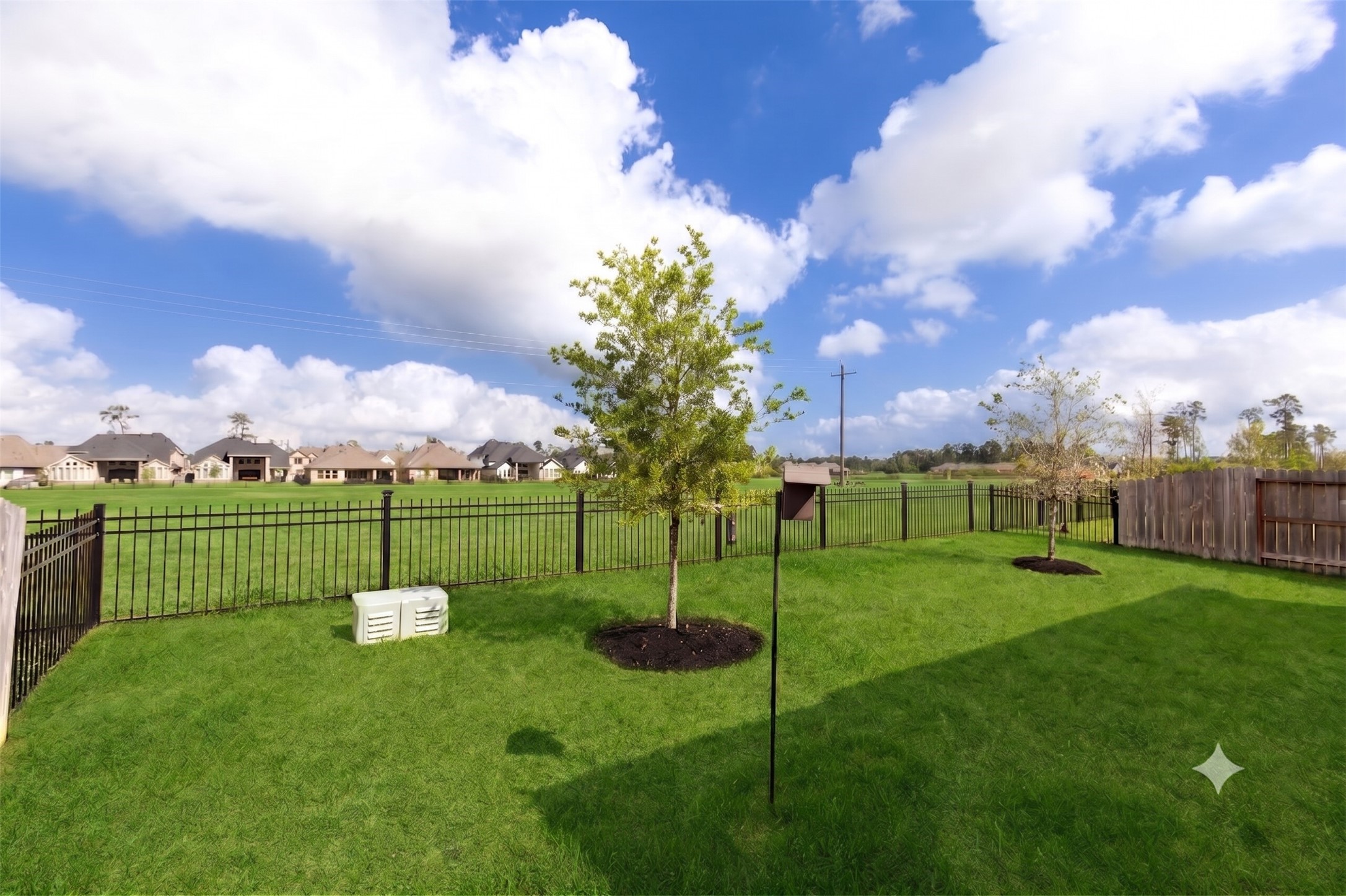 3541 Cherrybark Gable Ln Spring Spring, TX 77386 - Photo 33 of 39 Wrought iron fence giving great views.
