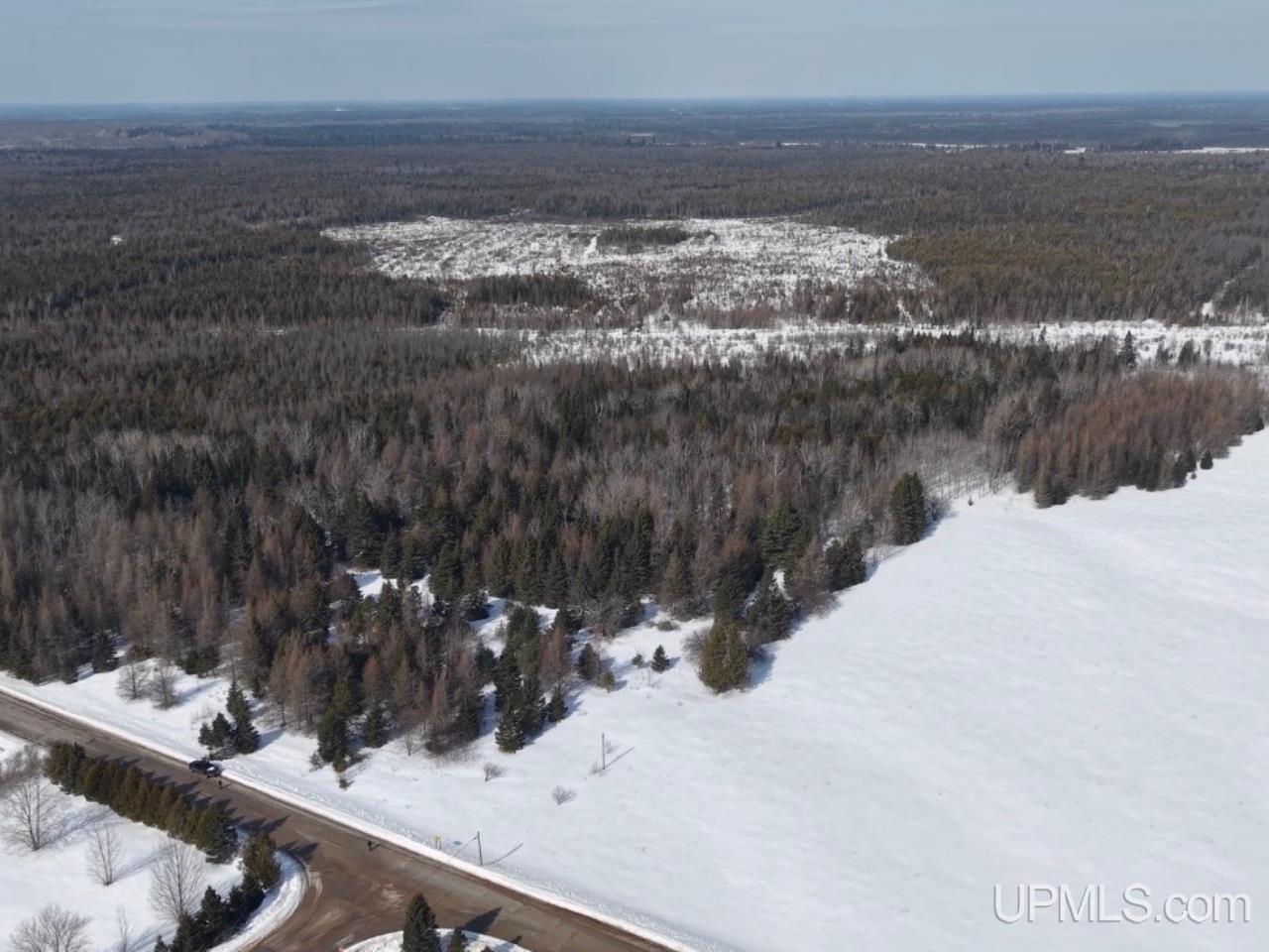 E 80-acres River Road Gulliver, MI 49840 - Photo 10 of 20
