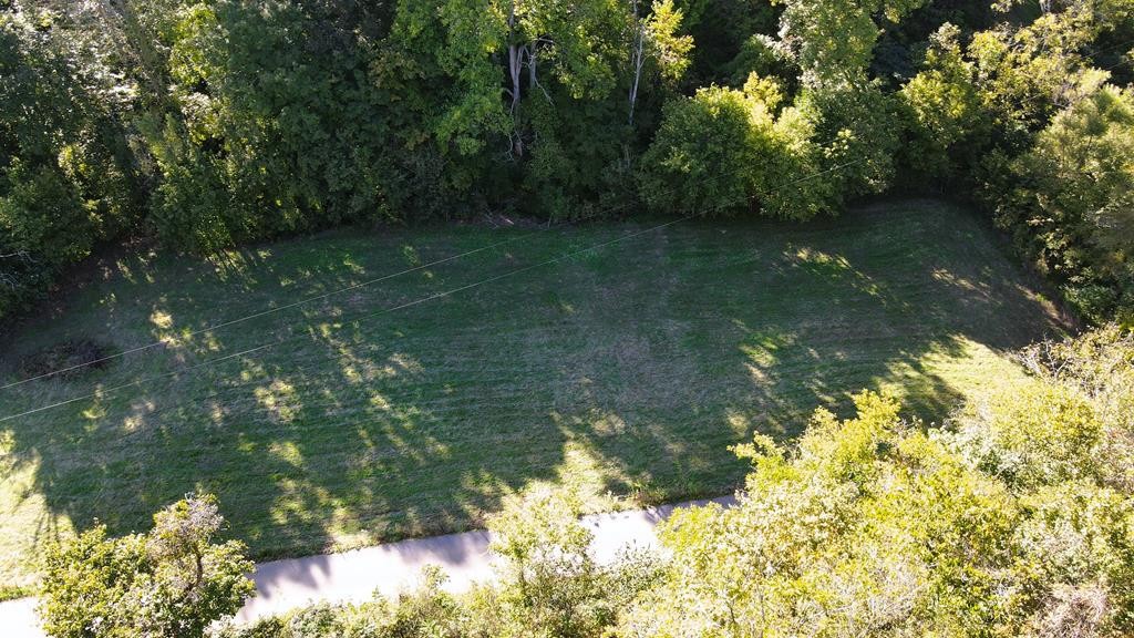 0 Reagan Branch Road Seymour, TN 37865 - Photo 8 of 31