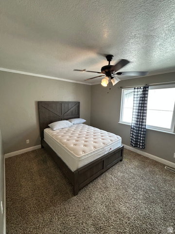 432 Spring Lane Logan, UT 84341 - Photo 16 of 22 Bedroom featuring dark colored carpet, a ceiling fan, and a textured ceiling