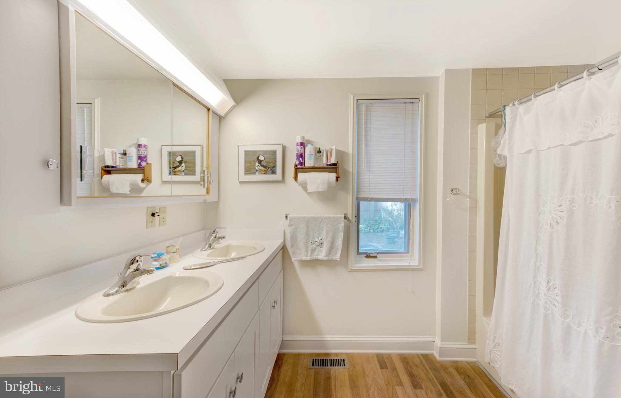 205 Birch Run Road Chestertown, MD 21620 - Photo 11 of 25 Bath (Master)