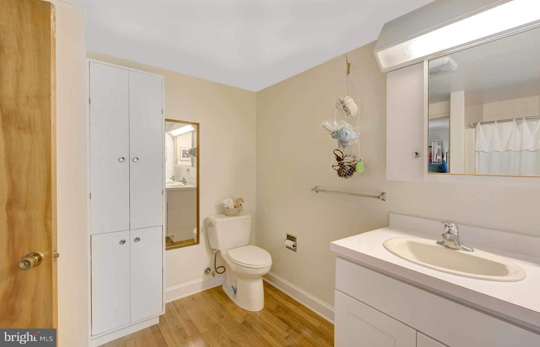 205 Birch Run Road Chestertown, MD 21620 - Photo 14 of 25 Bath (Master)