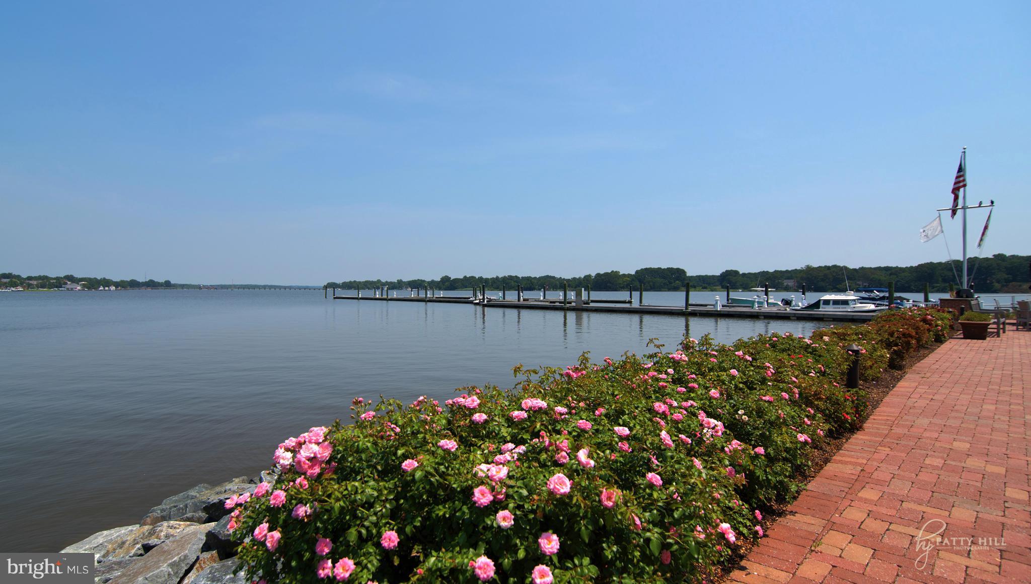 205 Birch Run Road Chestertown, MD 21620 - Photo 23 of 25 Town River View