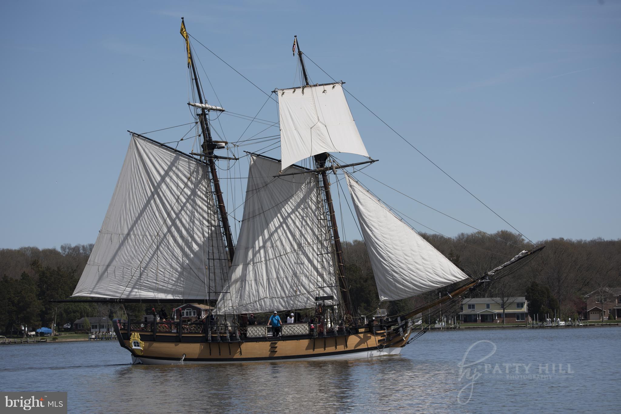 205 Birch Run Road Chestertown, MD 21620 - Photo 24 of 25 The Sultana on the Chester River