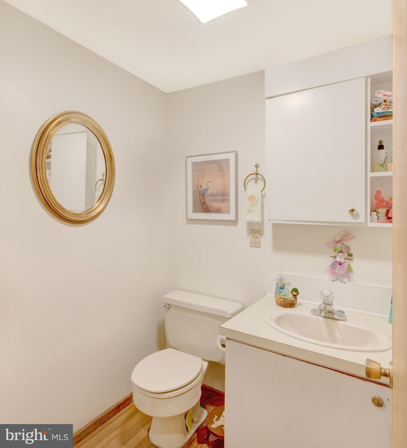 205 Birch Run Road Chestertown, MD 21620 - Photo 9 of 25 Powder Room