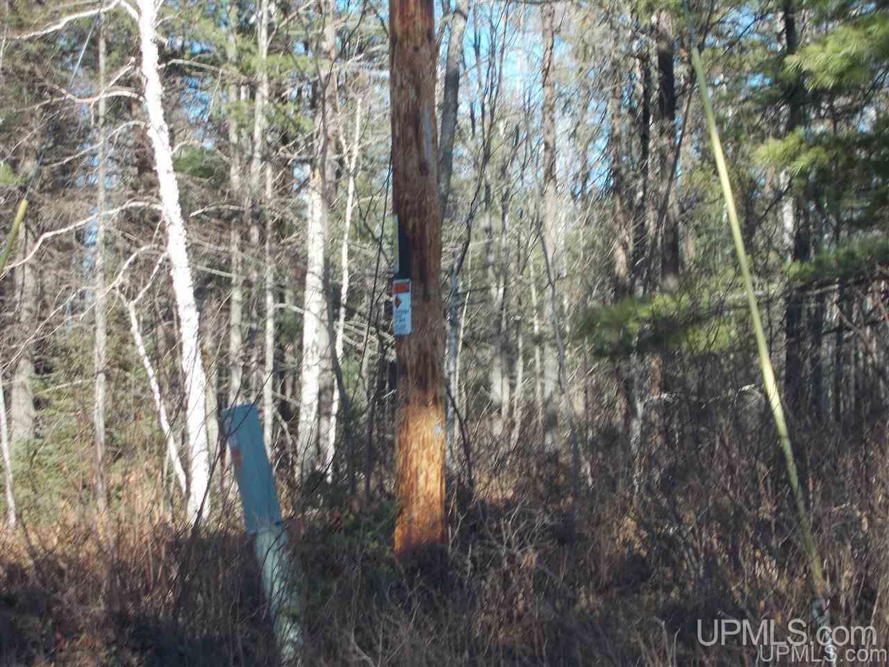 74-acres 74-acres Off Co Road Negaunee, MI 49866 - Photo 11 of 17