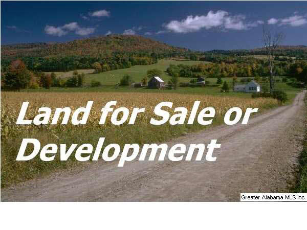 1106 Hillcrest Road Adamsville, AL 35005 - Photo 1 of 1