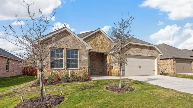 a house that has a tree in front of the house