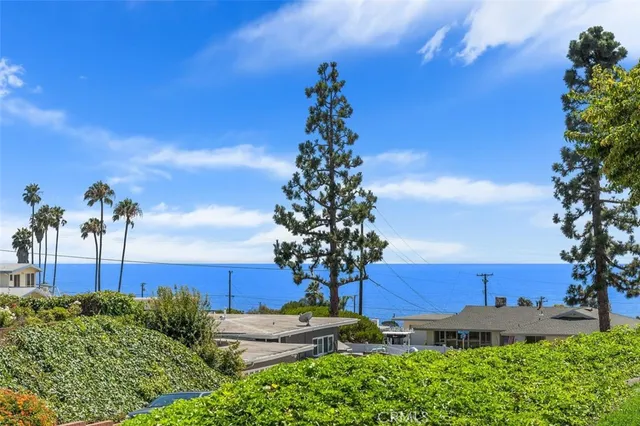 a view of a house with a yard and potted plants