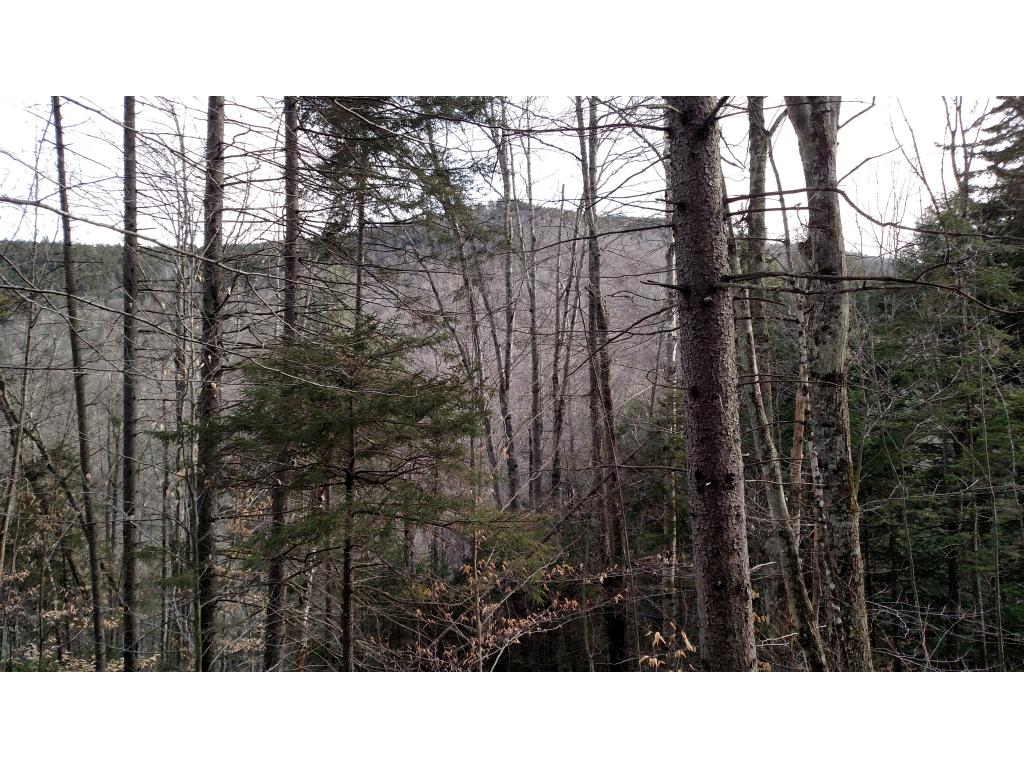 Lot 13 Mountain View Road Bridgewater Corners, VT 05035 - Photo 1 of 10