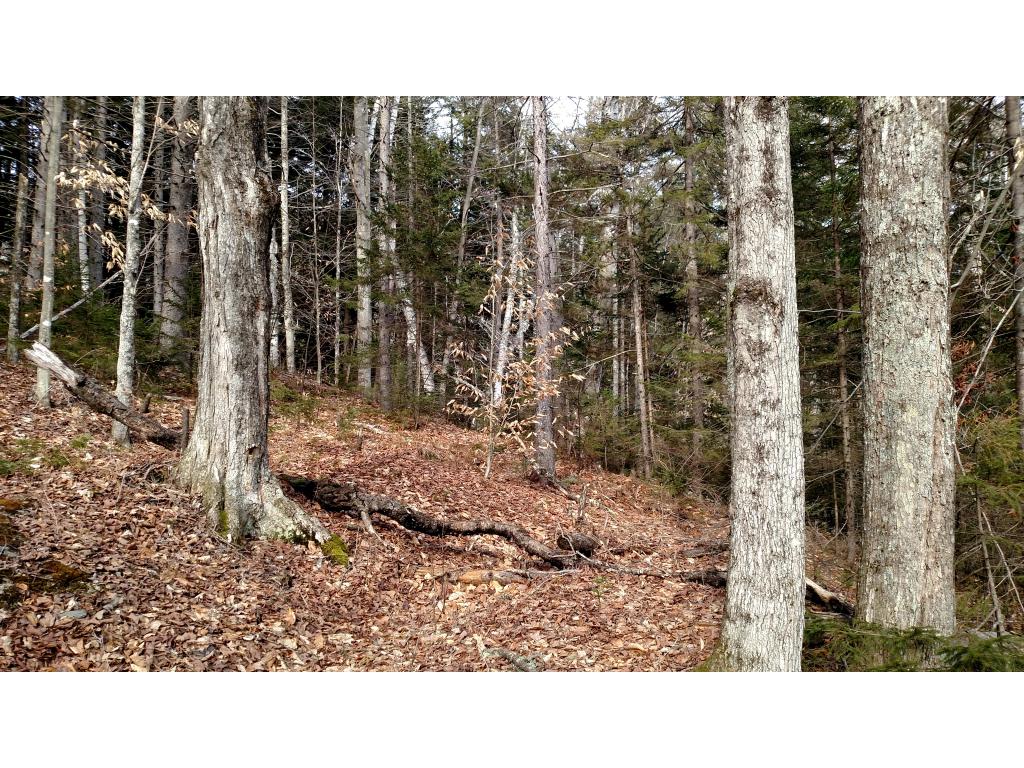 Lot 13 Mountain View Road Bridgewater Corners, VT 05035 - Photo 3 of 10