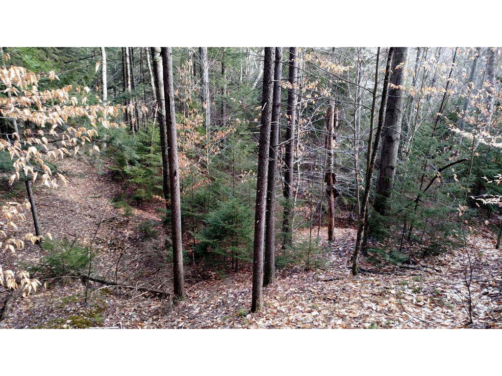Lot 13 Mountain View Road Bridgewater Corners, VT 05035 - Photo 4 of 10
