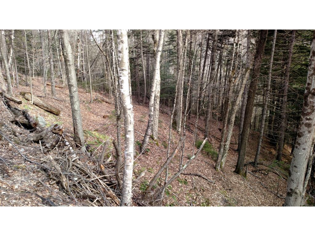 Lot 13 Mountain View Road Bridgewater Corners, VT 05035 - Photo 5 of 10