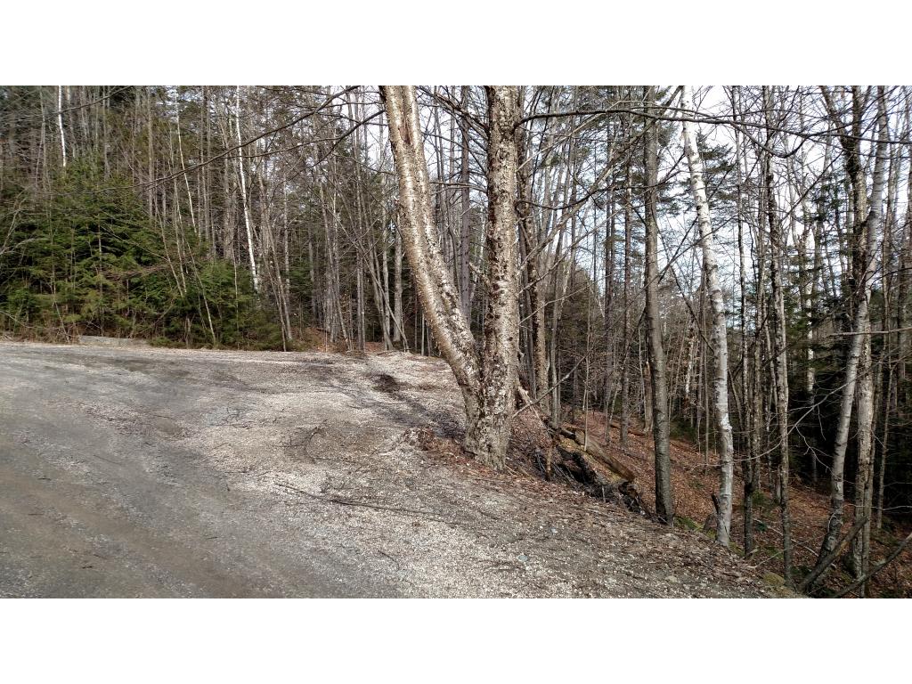 Lot 13 Mountain View Road Bridgewater Corners, VT 05035 - Photo 7 of 10