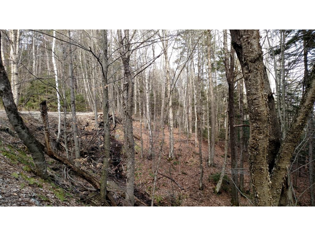 Lot 13 Mountain View Road Bridgewater Corners, VT 05035 - Photo 8 of 10
