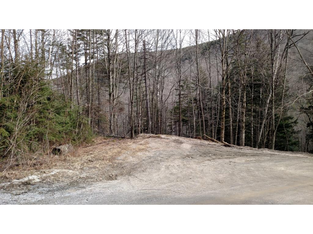 Lot 13 Mountain View Road Bridgewater Corners, VT 05035 - Photo 9 of 10