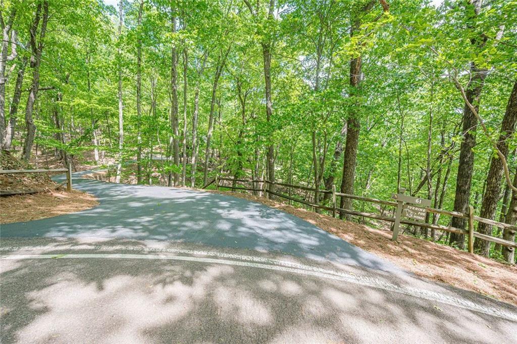 61 Deer Run Ridge Jasper, GA 30143 - Photo 45 of 50