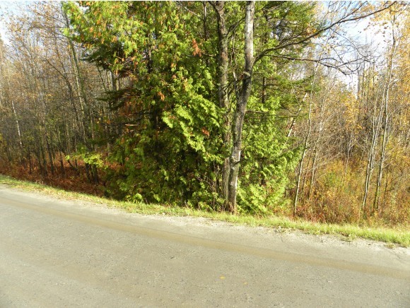 0 School House Road Brownington, VT 05860 - Photo 4 of 9 Gallery Image 4