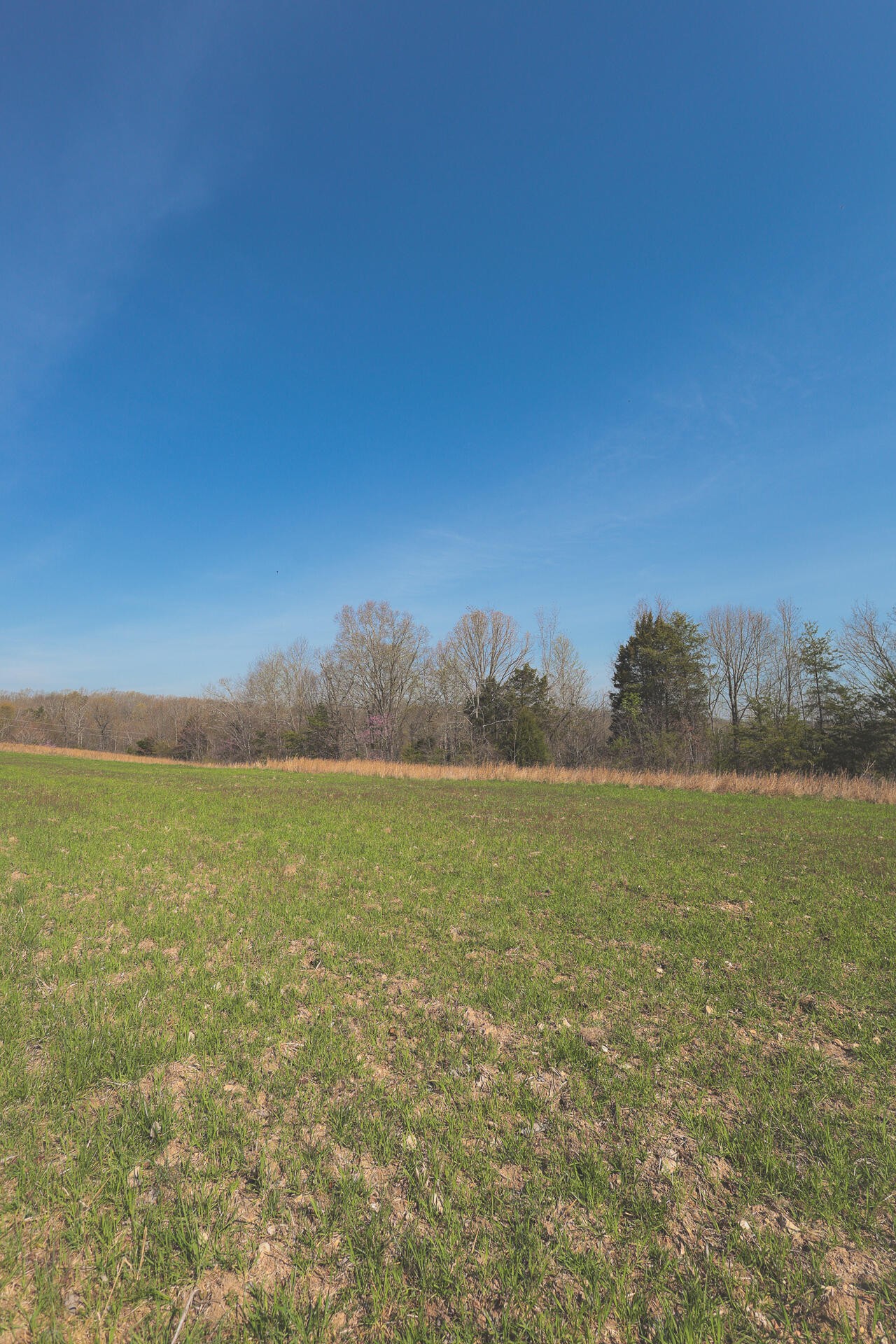 527 Dyer Hollow Road Dayton, TN 37321 - Photo 27 of 61 Gallery Image 27