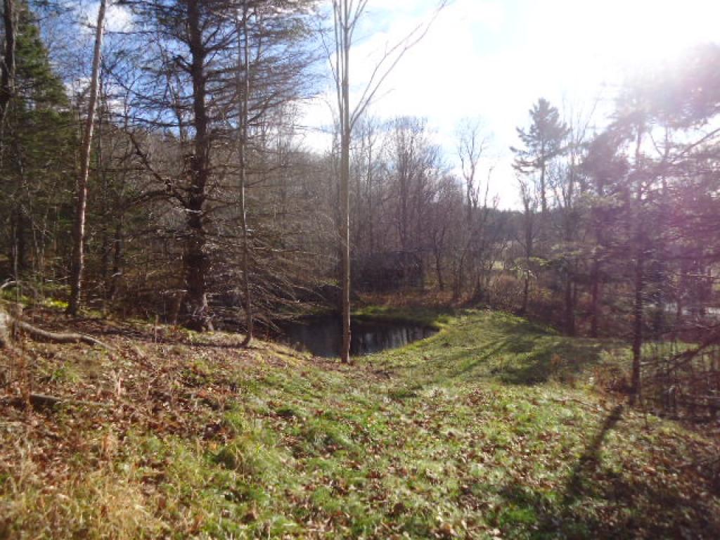 0 Reed Road Colebrook, NH 03576 - Photo 2 of 12