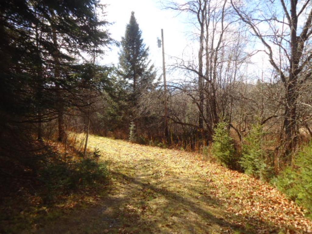 0 Reed Road Colebrook, NH 03576 - Photo 11 of 12