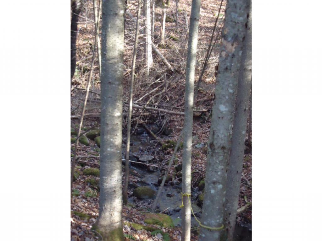 0 Reed Road Colebrook, NH 03576 - Photo 12 of 12